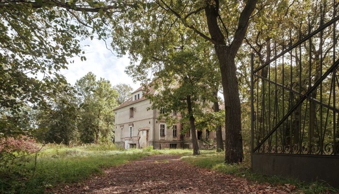 Schloss Wilków 3