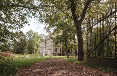 Schloss kaufen Wilków, Parkowa 1, Oppeln, Zufahrt