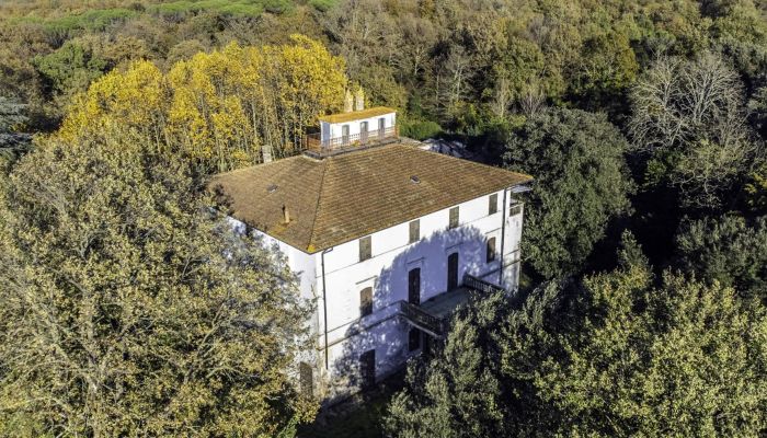 Historische Villa Pontedera 5