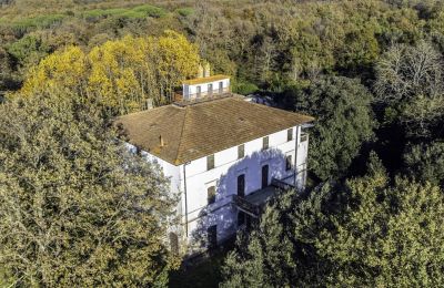 Historische Villa kaufen Pontedera, Toskana, Foto 5/17