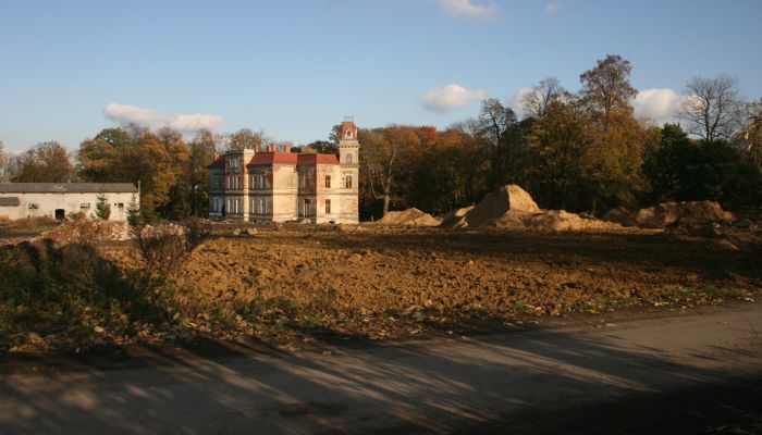 Herrenhaus/Gutshaus Pisarzowice 3