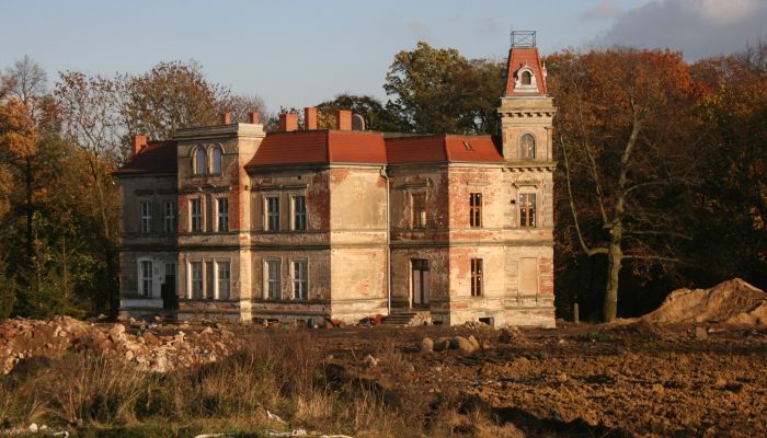 Herrenhaus/Gutshaus Pisarzowice 4