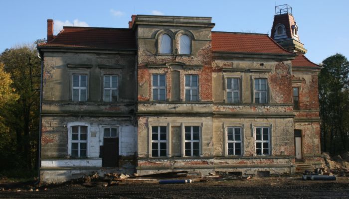 Herrenhaus/Gutshaus Pisarzowice 5