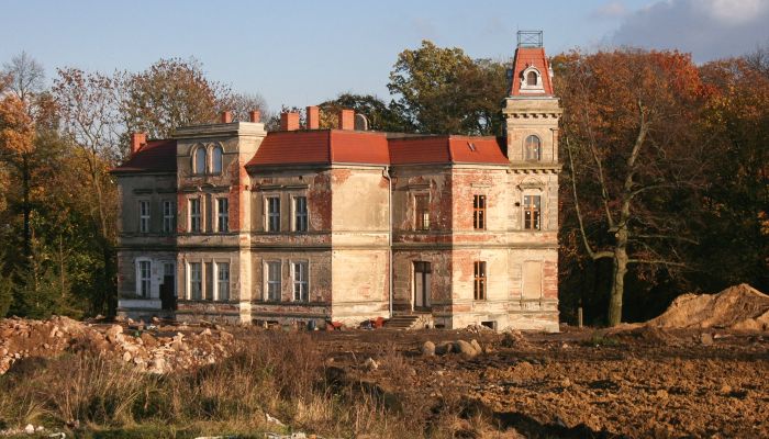 Herrenhaus/Gutshaus Pisarzowice 3