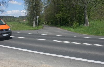 Herrenhaus/Gutshaus kaufen Pisarzowice, Niederschlesien, Foto 16/17