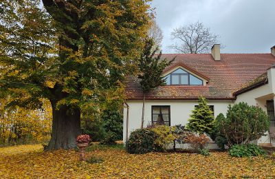 Herrenhaus/Gutshaus kaufen Górki Małe, Lodz, Foto 3/20