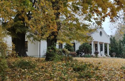 Herrenhaus/Gutshaus kaufen Górki Małe, Lodz, Foto 2/20