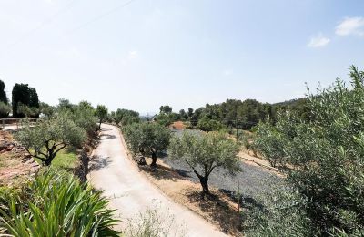 Historische Villa kaufen Castellar del Vallès, Katalonien, Foto 41/42