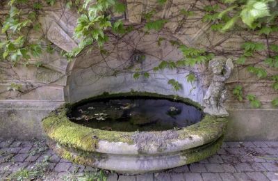 Historische Villa kaufen Vernaison, Auvergne-Rhône-Alpes, Foto 16/29