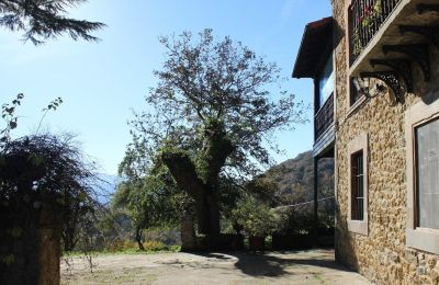 Herrenhaus/Gutshaus kaufen Parres, Asturien, Foto 26/36