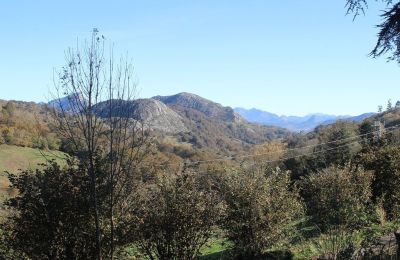 Herrenhaus/Gutshaus kaufen Parres, Asturien, Aussicht