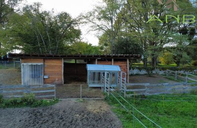 Herrenhaus/Gutshaus kaufen Busserolles, Neu-Aquitanien, Foto 12/27