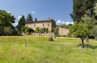 Landhaus kaufen Castellina in Chianti, Toskana, Grundstück