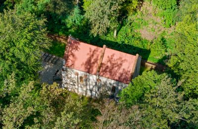 Schloss kaufen Minkowskie, Minkowskie 69, Oppeln, Foto 11/43