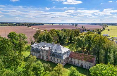 Schloss kaufen Minkowskie, Minkowskie 69, Oppeln, Foto 5/43