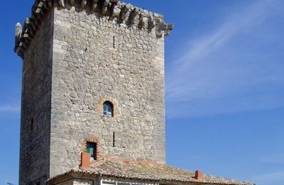 Historische Immobilie kaufen Villadiego, Travesia de la iglesia S/n, Kastilien und León,, Turm