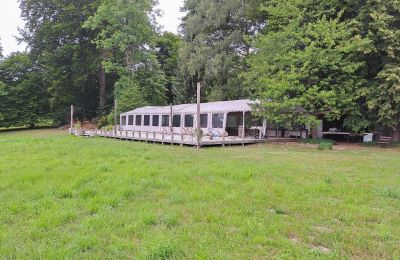 Herrenhaus/Gutshaus kaufen Dawidy, Dwór w Dawidach, Ermland-Masuren, Park