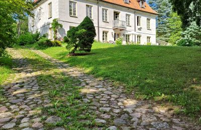 Herrenhaus/Gutshaus kaufen Dawidy, Dwór w Dawidach, Ermland-Masuren, Rückseite