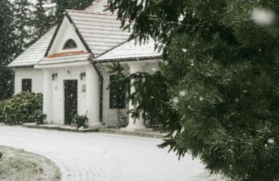 Herrenhaus/Gutshaus kaufen Masowien, Foto 6/14