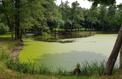 Herrenhaus/Gutshaus kaufen Błaszki, Lodz, Teich/See