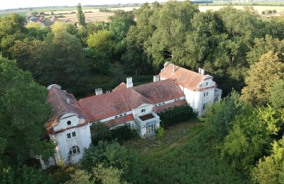 Herrenhaus/Gutshaus kaufen Oporowo, Dwór w Oporowie 1, Großpolen, Drohnenfoto