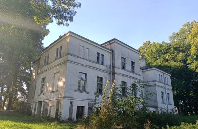 Herrenhaus/Gutshaus kaufen Goniembice, Dwór w Goniembicach, Großpolen, Foto 4/8