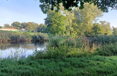 Herrenhaus/Gutshaus kaufen Goniembice, Dwór w Goniembicach, Großpolen, Teich/See