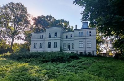 Herrenhaus/Gutshaus kaufen Goniembice, Dwór w Goniembicach, Großpolen, Rückseite