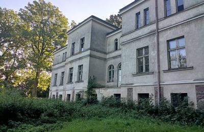 Herrenhaus/Gutshaus kaufen Goniembice, Dwór w Goniembicach, Großpolen, Seitenansicht