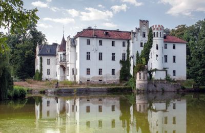 Schloss kaufen Dobrocin, Pałac w Dobrocinie, Niederschlesien, Seitenansicht