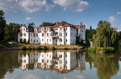 Schloss kaufen Dobrocin, Pałac w Dobrocinie, Niederschlesien, Foto 6/17