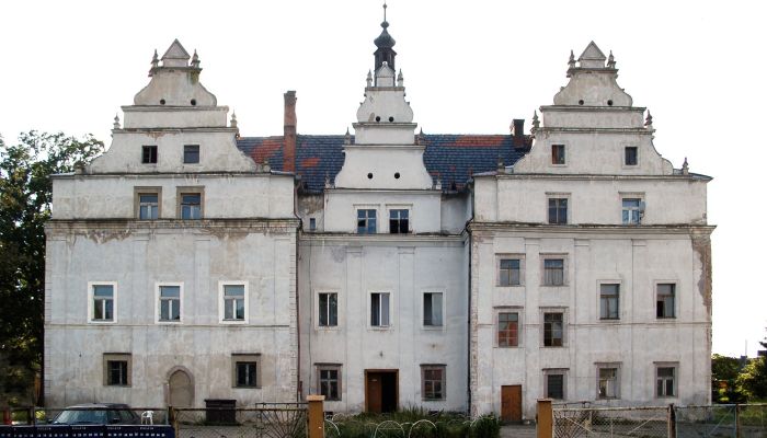 Schloss Wilków Wielki 1