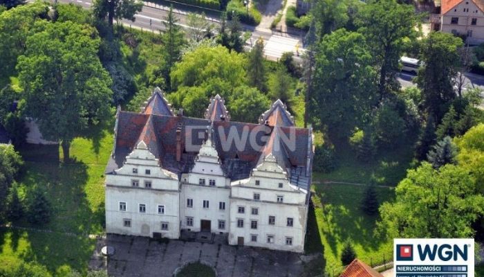 Schloss Wilków Wielki 2