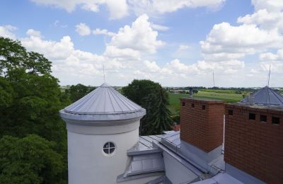 Schloss kaufen Malina, Pałac Malina, Lodz, Dach