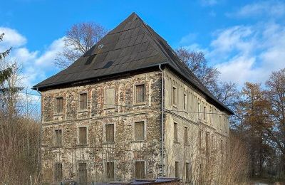 Herrenhaus Dorfstadt wird versteigert