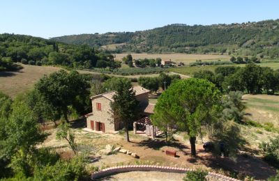 Landhaus kaufen Montescudaio, Toskana, RIF 2185 Blick auf Anwesen