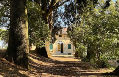 Historische Villa kaufen Siena, Toskana, RIF 2937 Blick auf Eingang