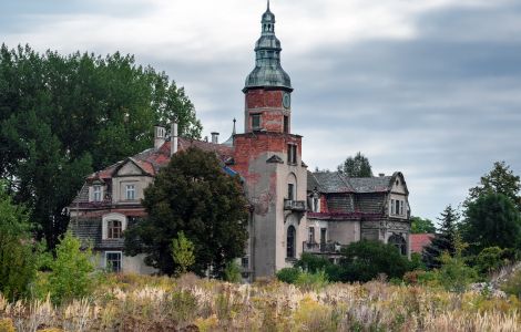  - Palast in Hubertushof (Pałac w Pustkowie Żurawskim)